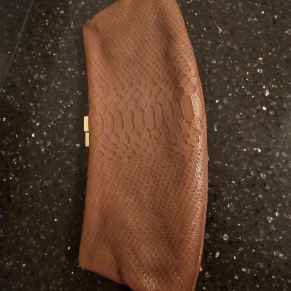Snake skin clutch